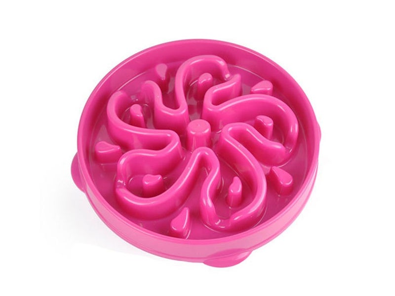 PTN NEW Dog Slow Feeder Sale Sale Carousel 2