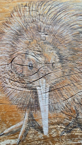 Kanuka Glen, Kiwi on wood. artwork. Carousel 2