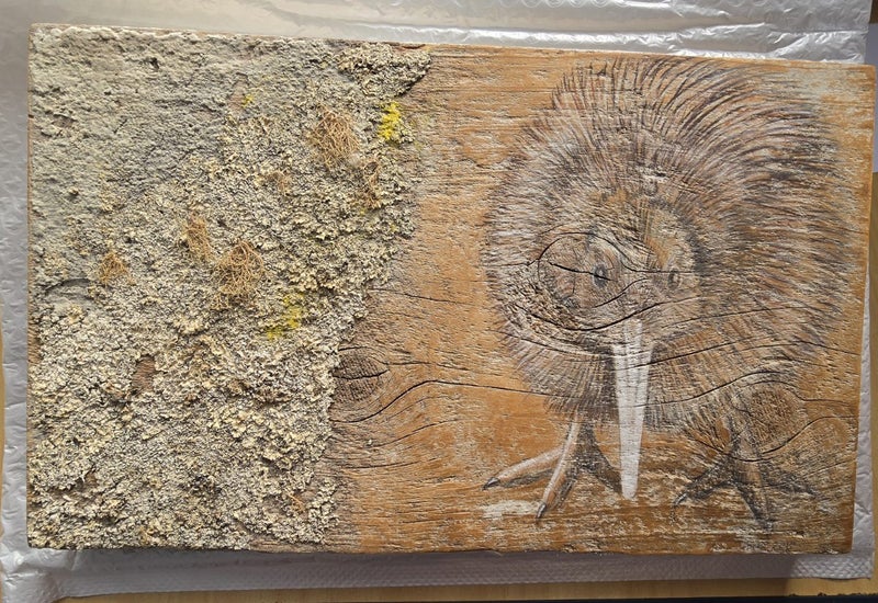 Kanuka Glen, Kiwi on wood. artwork. Carousel 1