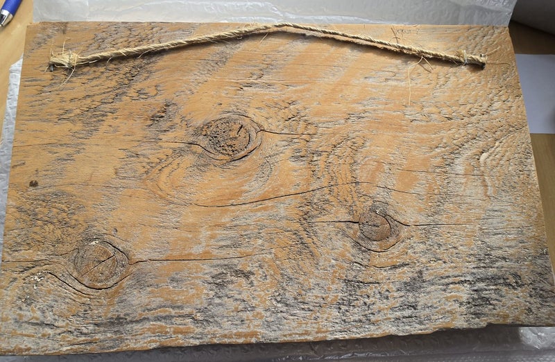 Kanuka Glen, Kiwi on wood. artwork. Carousel 4