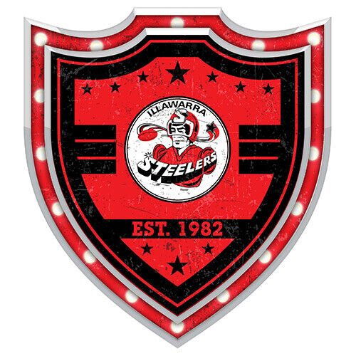 STEELERS St George Illawarra Dragons NRL Light Up Bar Sign Plaque Shield Carousel 1