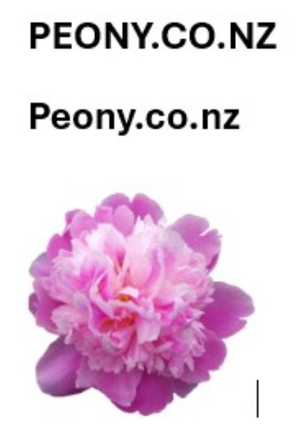 PEONY.CO.NZ Domain Name peony.co.nz - Peony Carousel 1