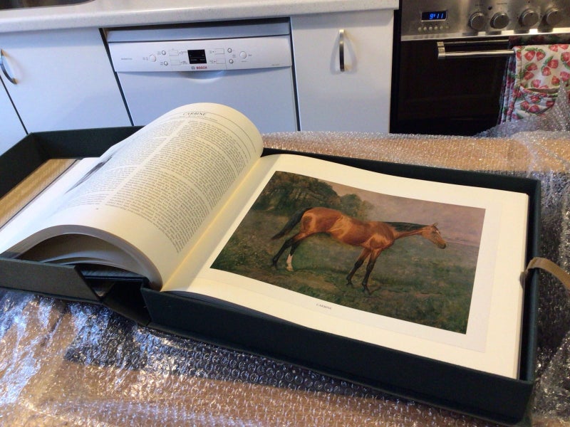 Notable New Zealand Thoroughbreds Carousel 1