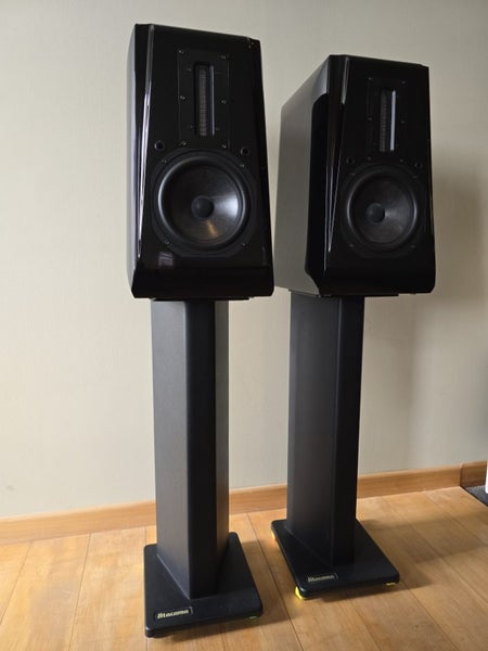 Aurum Cantus Leisure 3SE63616842018433114