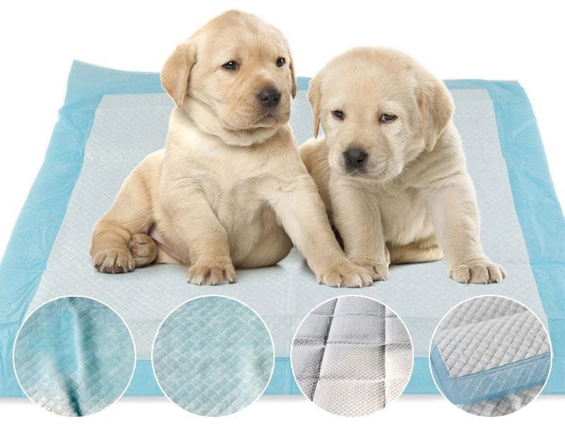 Puppy Training Pads Dog/Pet Training Pad Size S - XL Carousel 1