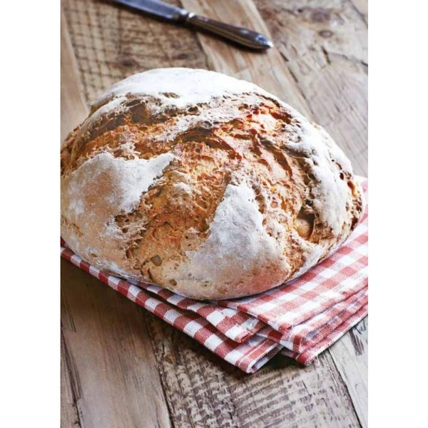 Mad Millie 15 Minute Sourdough Kit Homemade Fermenting Carousel 8