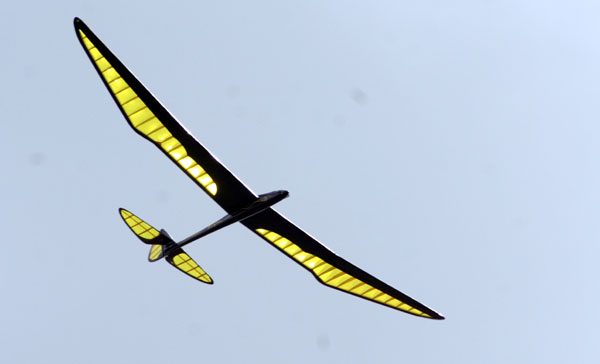 Model Aircraft Plan - Bird Of Time Glider 118" Span Carousel 1