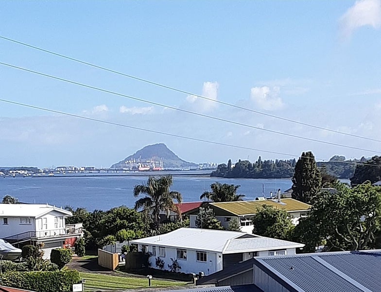 Image 1 of 18
