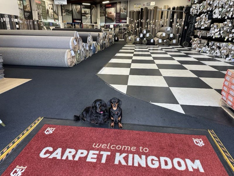 $1 reserve= HOUSE LOT, 8 rolls of New cut pile wool carpet = 111m264288088109825112