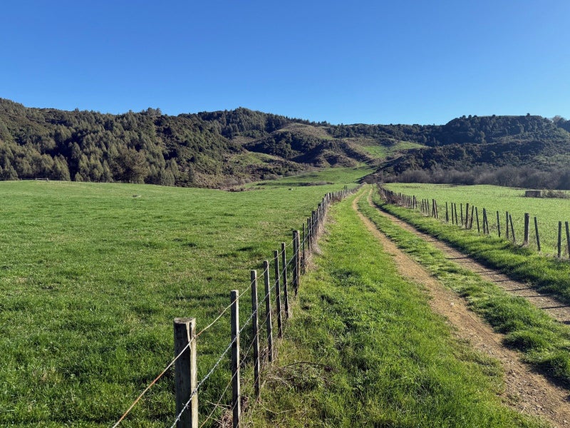 Image 1 of 18