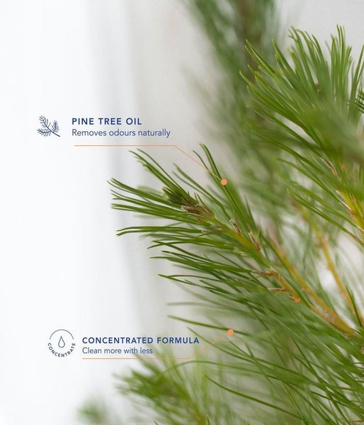 Lycocelle Concentrated Lingerie Laundry Liquid 300ml Carousel 4