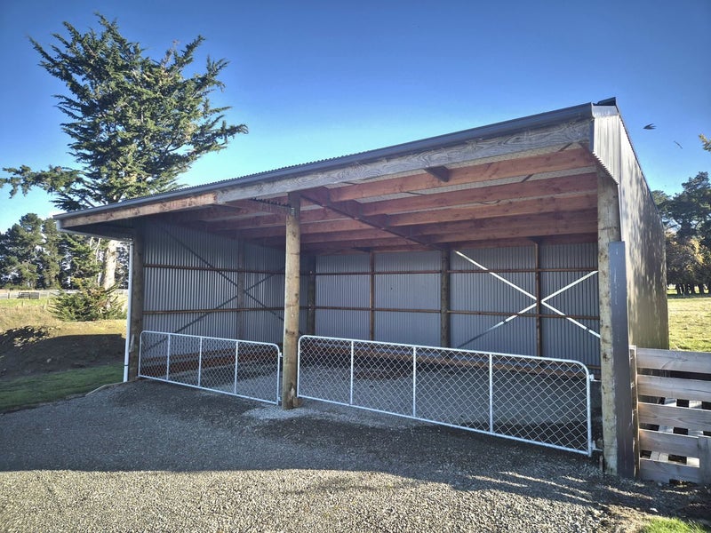 gallery carousel 20