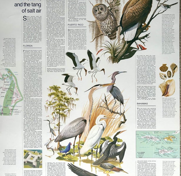 1973 Nat Geographic 2-Sided Map of ‘Florida’ Carousel 6