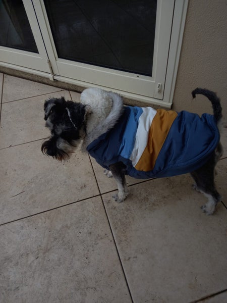 Winter Dog Coat with Fur trimmed Hood - Med/Large Carousel 2