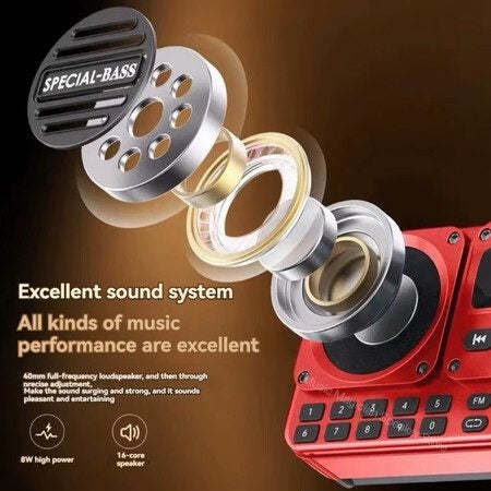 Portable Digital FM Radio Carousel 10