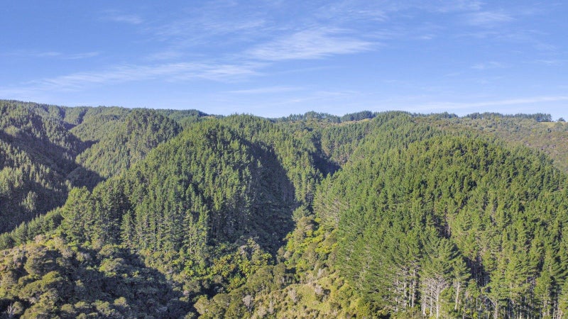 Image 1 of 19