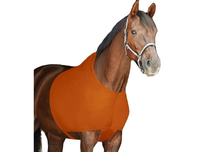 Horse Shoulder Protection Neck Protection Horse Vest Pad Elasticity To Prevent Carousel 1