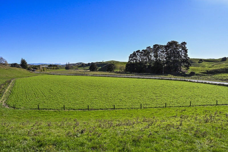 Attractive Wallingford breeding and finishing farm62865851286785114
