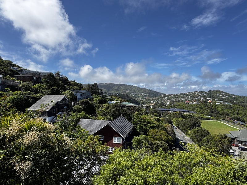Image 1 of 19