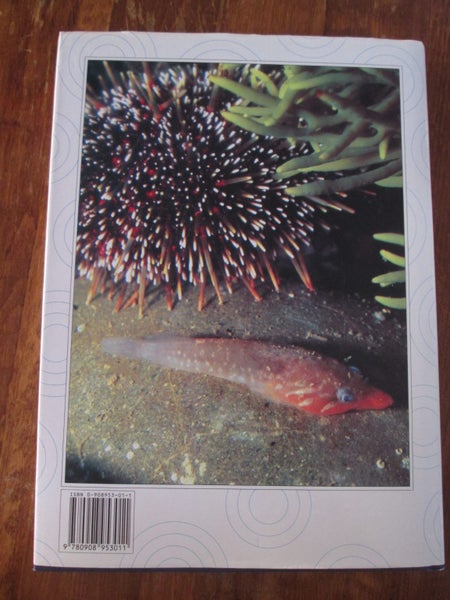 The Rockpool Fishes Of New Zealand * by Chris Paulin and Clive Roberts 1992 Carousel 10