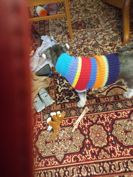 Hand knitted Wool Dog Jacket - S - M Carousel 1