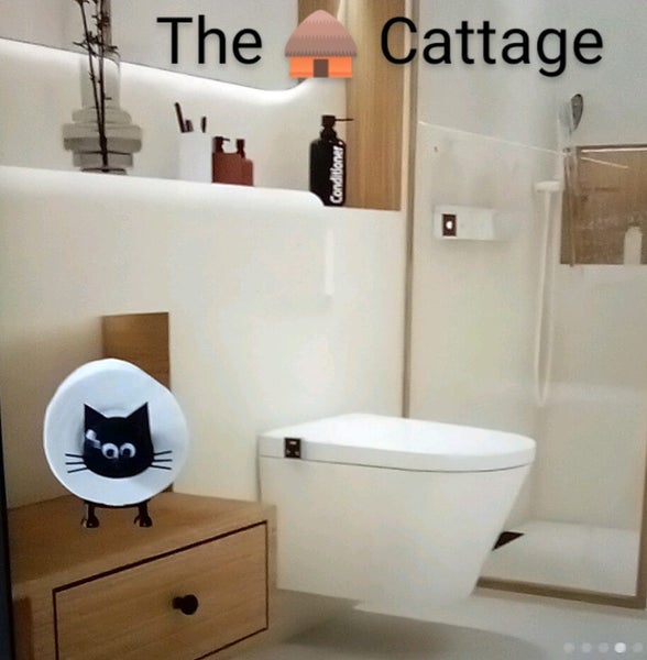 THE CATTAGE- Cute, Fun 3D Cat Single Toilet Roll Holder More As Bathroom Feature Carousel 2