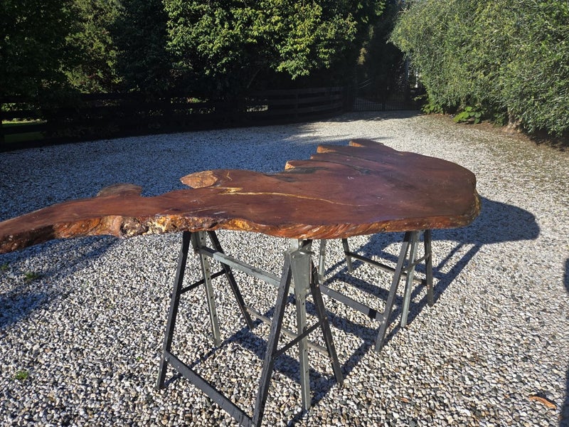 Beautiful piece of swamp Kauri Carousel 1