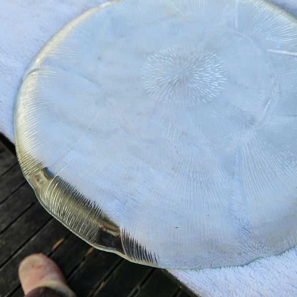 Luminarc platter Carousel 3