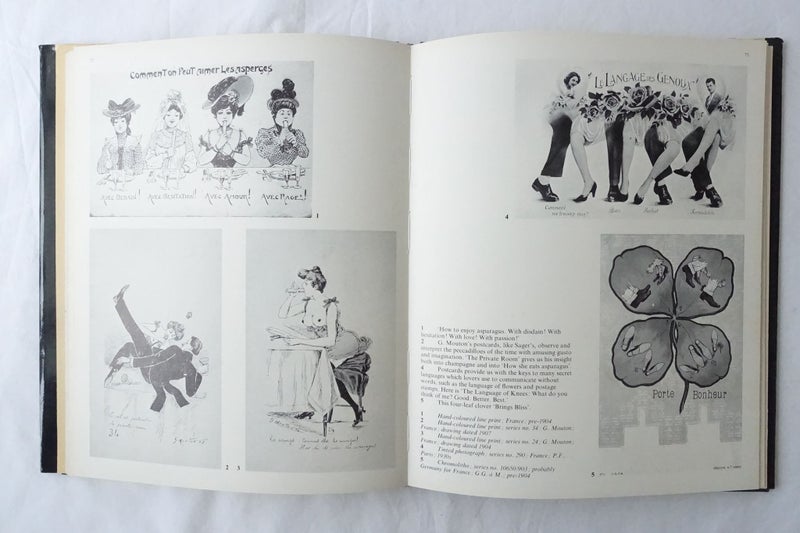 Erotic Postcards by Jones Barbara; Ouellette William (SKU BK48) Carousel 11