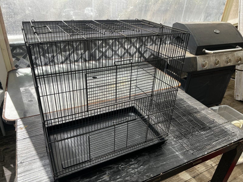 Cage Carousel 1