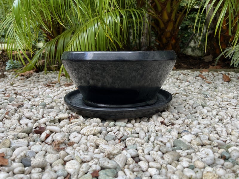 $1 Reserve-Striking Black Glazed Planter and Saucer-28cms Carousel 1