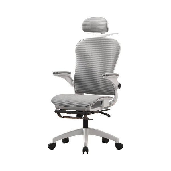4D Adjustable Ergonomic Office Chair with foot support Carousel 1