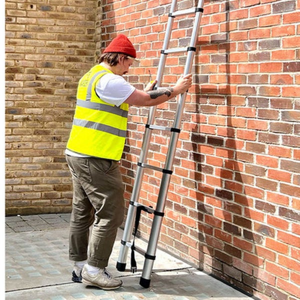 Aluminium Ladder 2.6M Carousel 7