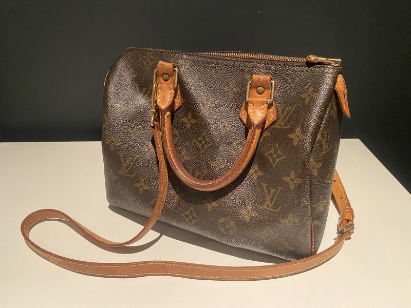 Louis Vuitton Speedy Handbag 25629317205890581123