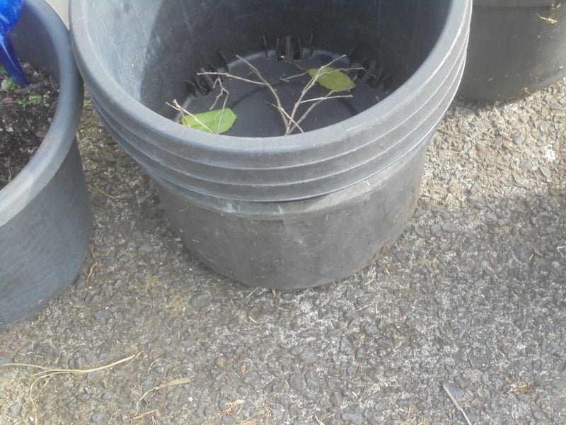Pots Carousel 1