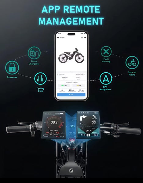 E bike electric mountain bike Romeo 2 pro 3kw62865824970113112