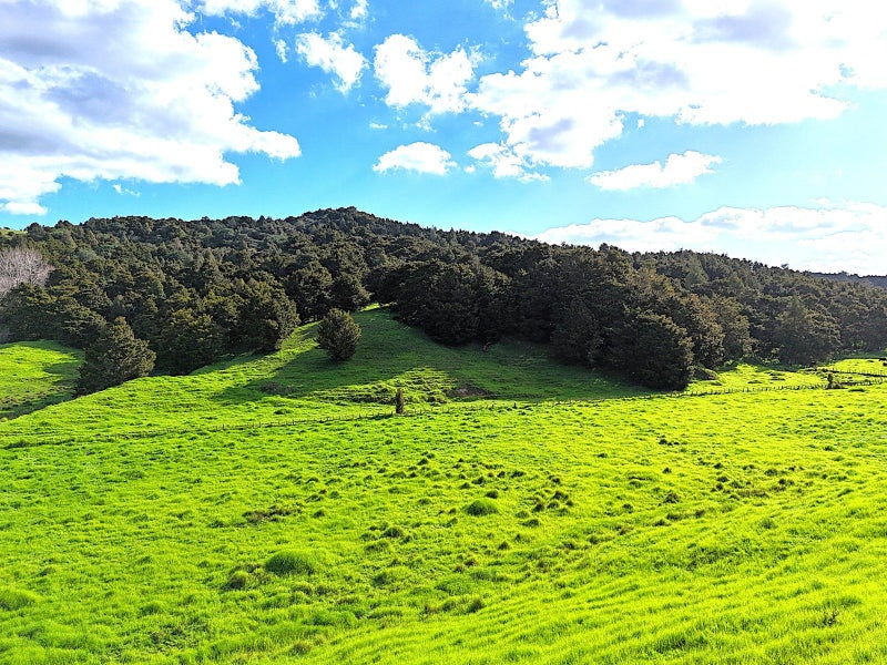 Image 1 of 24