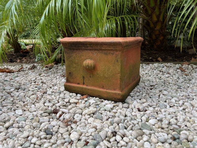 Nice Square Vintage Planter-29cms Carousel 1