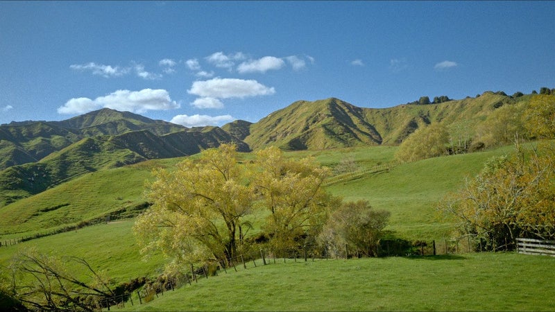 Image 1 of 26
