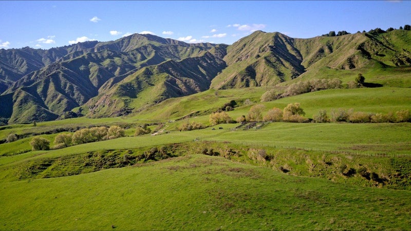 Image 2 of 26