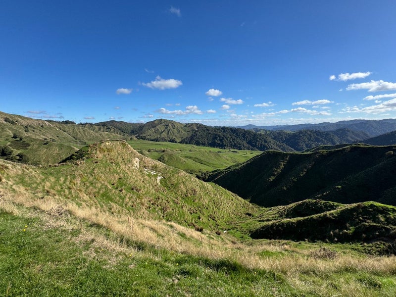 Image 3 of 26