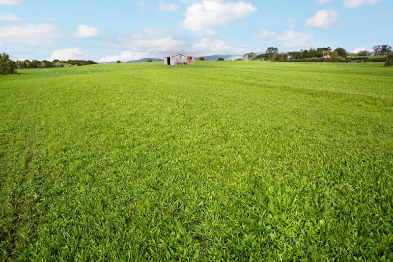 Image 2 of 18