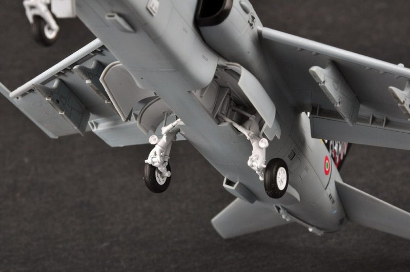 AMX Ground Attack Aircraft HobbyBoss | No. 81741 | 1:4864452095470723112