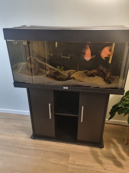 Juwel Rio 180 Tank & Stand Carousel 1