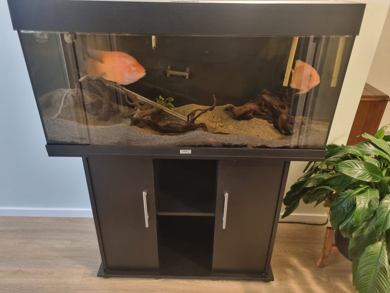 Juwel Rio 180 Tank & Stand Carousel 2