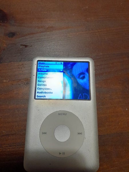 Ipod 80g Silver Carousel 1