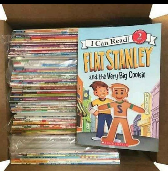 Bulk Book Box of 50 Early Reader Kids Books Phonics etc629385854571531119