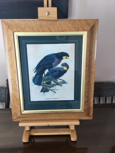 HUIA. Buller's Birds J G Keulemans Original 1873. Neomorpha Gouldii Carousel 3