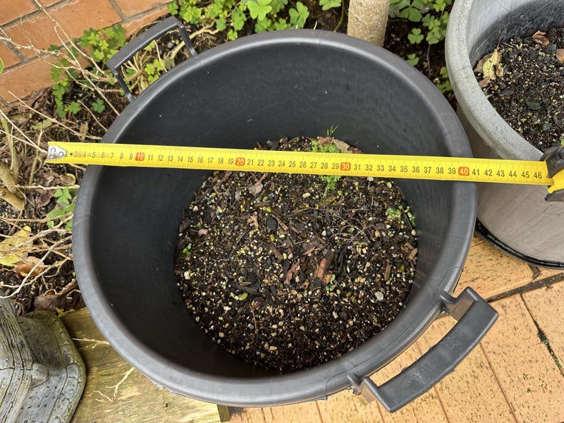Planting Pot + Dish , 400mm wide 320mm tall Carousel 2