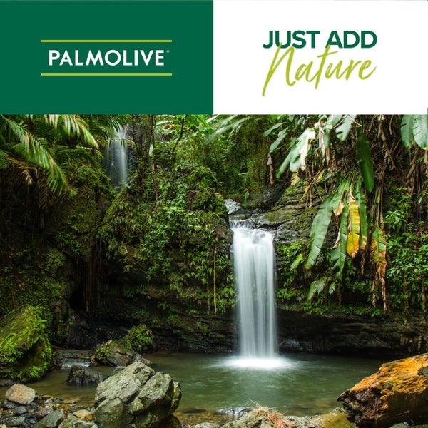 Palmolive Naturals Intensive Moisture Conditioner Coconut Cream 350mL Carousel 7